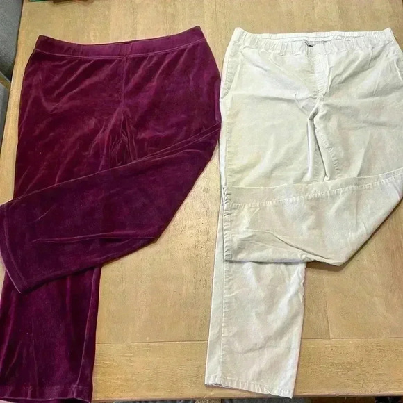 Karen Scott pants (2 pairs) EUC, size Petite XL - Picture 1 of 6